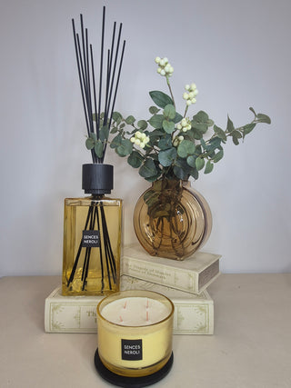 Shakespeare Book Boxes - Set of 2