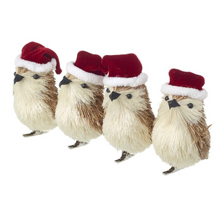 Birds In Santa Hat Set