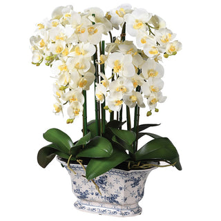 Sumatra White Orchid in blue-and-white Chinoiserie pot – luxury faux orchid arrangement available at Lily Bloom, Gorey, Ireland.