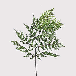 135cm artificial bracken fern stem – tall faux greenery spray for vases and styling, available at Lily Bloom Gorey