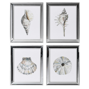 Set 4 Shell Prints nationwide delivery www.lilybloom.ie