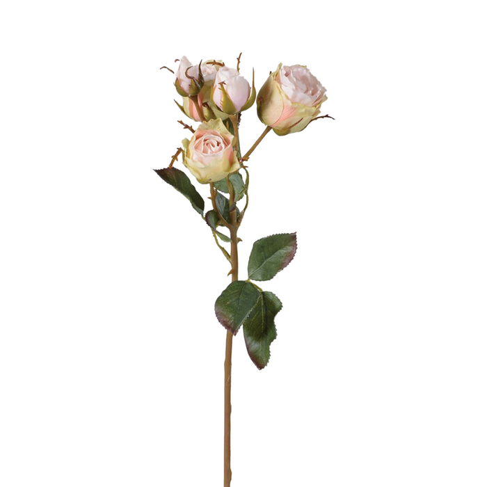 Soft Pink Vintage Rose Spray with Leaves