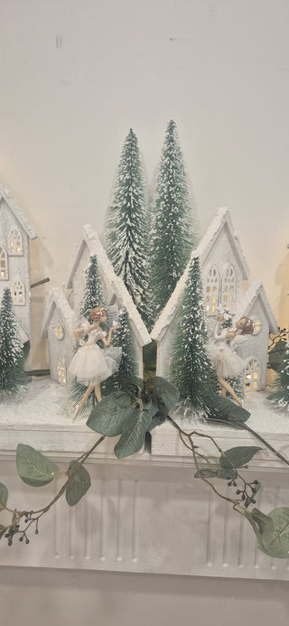 Fairy Wonderland
