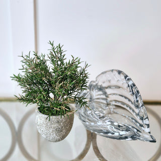 Recycled glass decorative shell ornament, coastal glass sculpture for interiors – buy online at www.lilybloom.ie or visit Lily Bloom, Gorey, Ireland