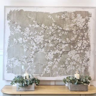 Dreams Blossom Blossom Picture