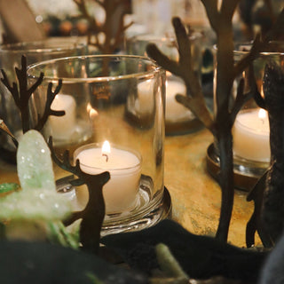 Caprice Luxury Tealights (box of 50) with clean visible flame, perfect for home styling – Available at Lily Bloom, Gorey, Ireland