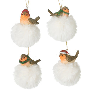 Robins on Snowballs