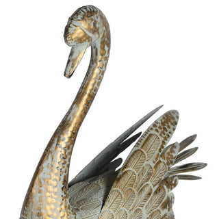 Regal Swan