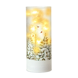 Snowy Robin Frosted Glass Led Light