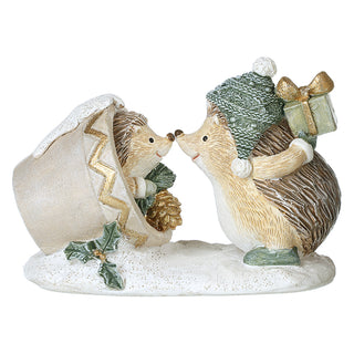 Hedgehog with Baby in Plant Pots