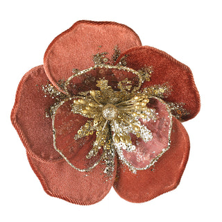 Burgundy Poinsettia Flower