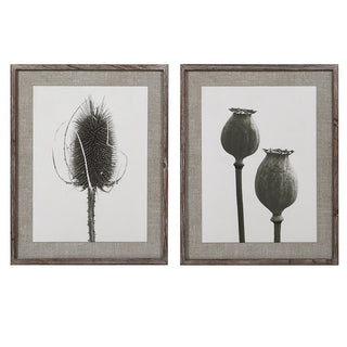 Boyne Meadow Set of 2 Framed Prints