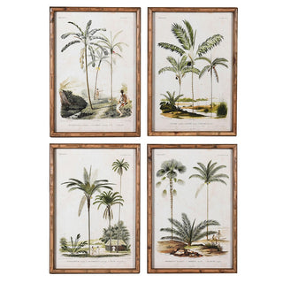 Caribbean Palm Set of 4 Framed Prints