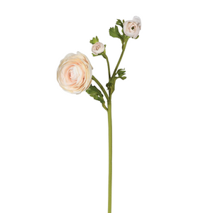 Apricot Blush Real Feel Ranunculus with Leaves nationwide delivery www.lilybloom.ie
