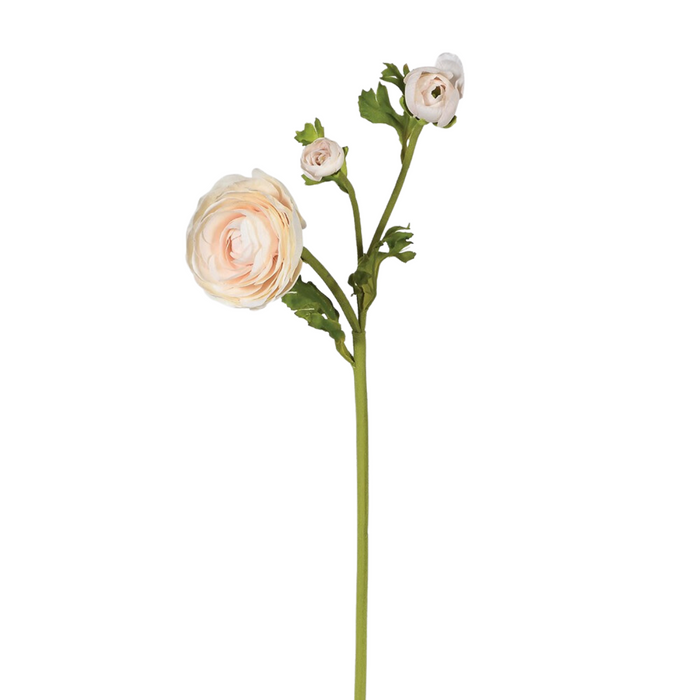 Apricot Blush Real Feel Ranunculus with Leaves