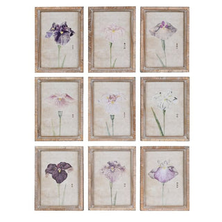 Set of 9 Iris Pictures