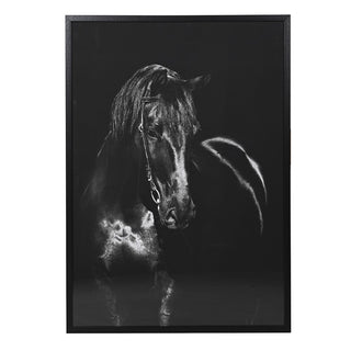 Le Cheval Noir Framed Horse Picture