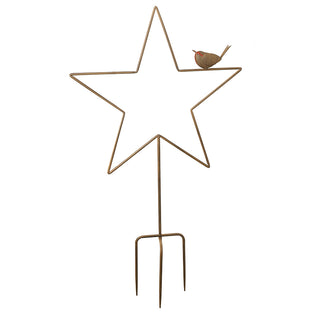 Metal Star with Robin