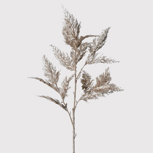 _Champagne Pine Spray nationwide delivery www.lilybloom.ie