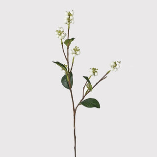 Cream Snowberry Display nationwide delivery www.lilybloom.ie