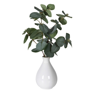Eucalyptus in White Ceramic Vase nationwide delivery www.lilybloom.ie