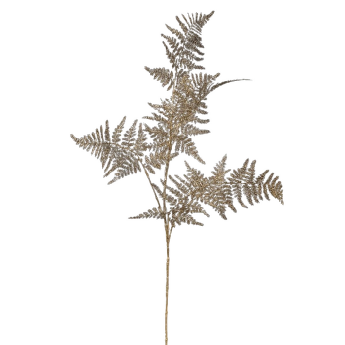 Gold Asparagus Spray