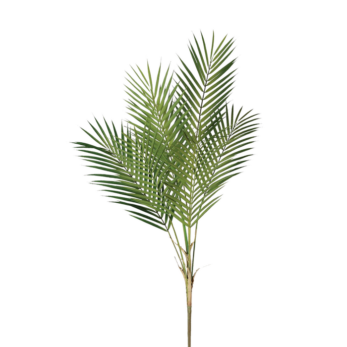 Green Palm Bush Stem
