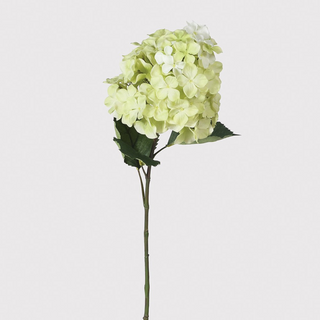 Green Paniculata Grandiflora Hydrangea Spray with Leaves