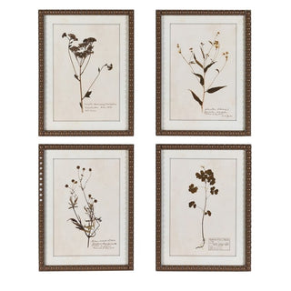 Set of 4 Delicate Floral Pictures