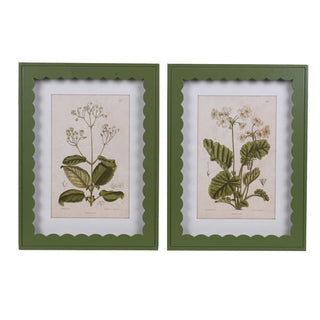 Set of 2 Scallop Primrose Framed Pictures