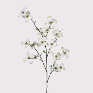 Dog wood