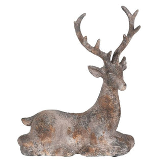 Resting Darling Deer