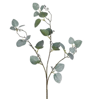 Glitter Stem Eucalyptus