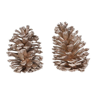 Bag of Champagne Pinecones
