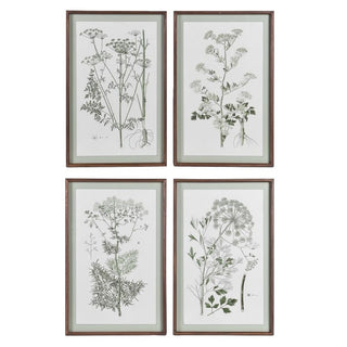 Set of 4 Meadowsweet Collective Prints