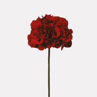 Ruby Hydrangea