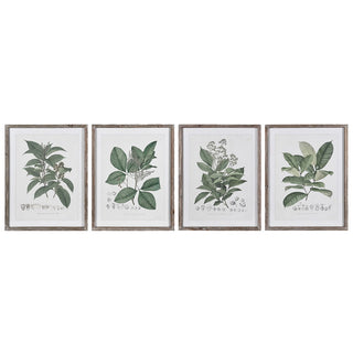 Set of four framed vintage-style herb prints – The Kitchen Garden Quartet, available at Lily Bloom, Gorey, Ireland.