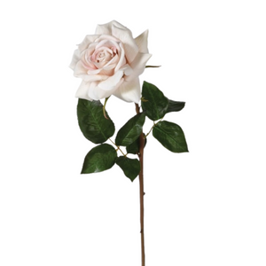 _Latte Real Feel Rose with Leaves nationwide delivery www.lilybloom.ie