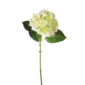 Light Lime Real Feel Hydrangea with Leaves nationwide delivery www.lilybloom.ie