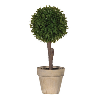 Miniature faux boxwood ball in aged brown pot. Maintenance-free greenery for windowsills, shelves, and tabletops. Available at www.lilybloom.ie or in-store at Lily Bloom, Gorey.