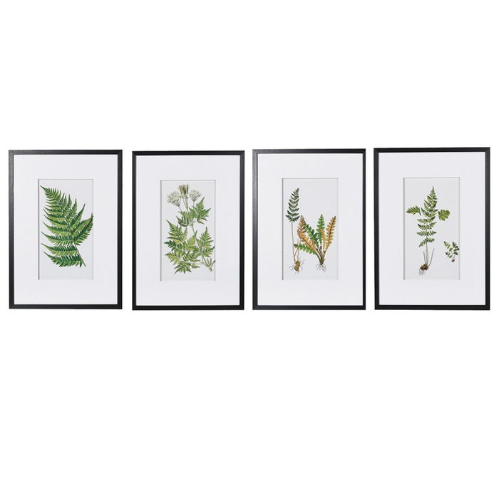 Set of 4 Fern Floral Pictures