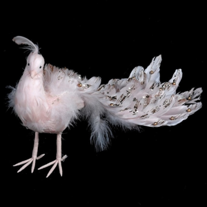 Soft Pink Feather Peacock nationwide delivery www,lilybloom.ie