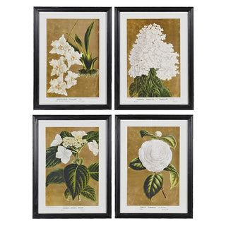 Set of four white floral framed prints, perfect for classic or modern home interiors – Buy online at www.lilybloom.ie