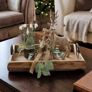 Phoenix Deer Tray Display