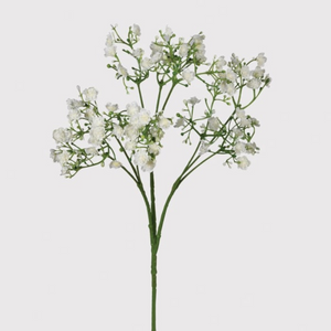 White Gypsophilia nationwide delivery www.lilybloom.ie