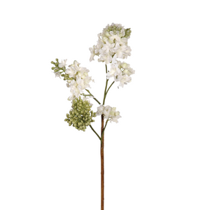 _White Lilac Spray nationwide delivery www.lilybloom.ie