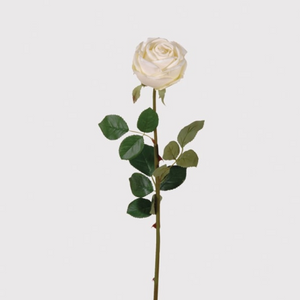 _White Rose Vienna with Leaves nationwide delivery www.lilybloom.ie