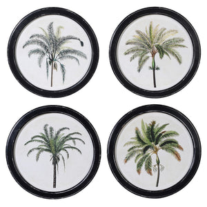 Set of 4 Round Palm Tree PIctures