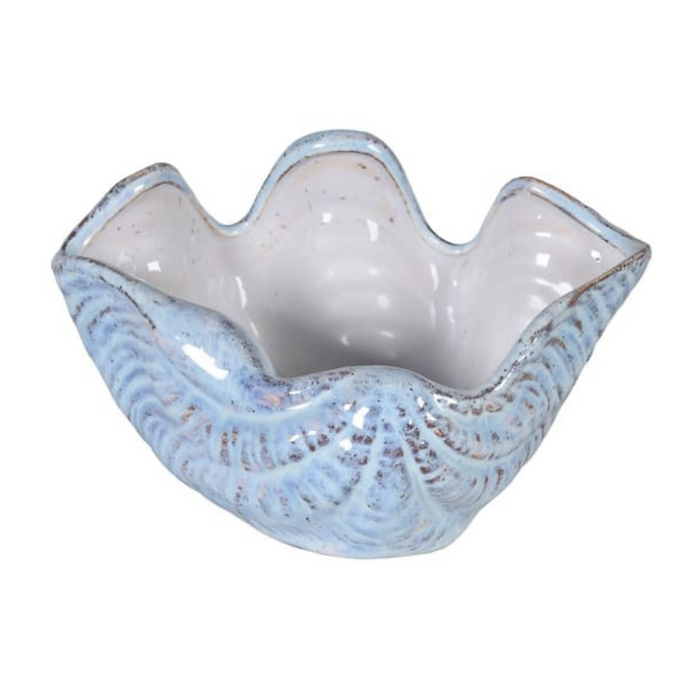 Blue Clam Shell