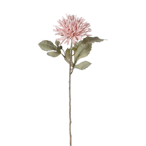 Blush Pink Dahlia Spray with Leaves nationwide delivery www.lilybloom.ie